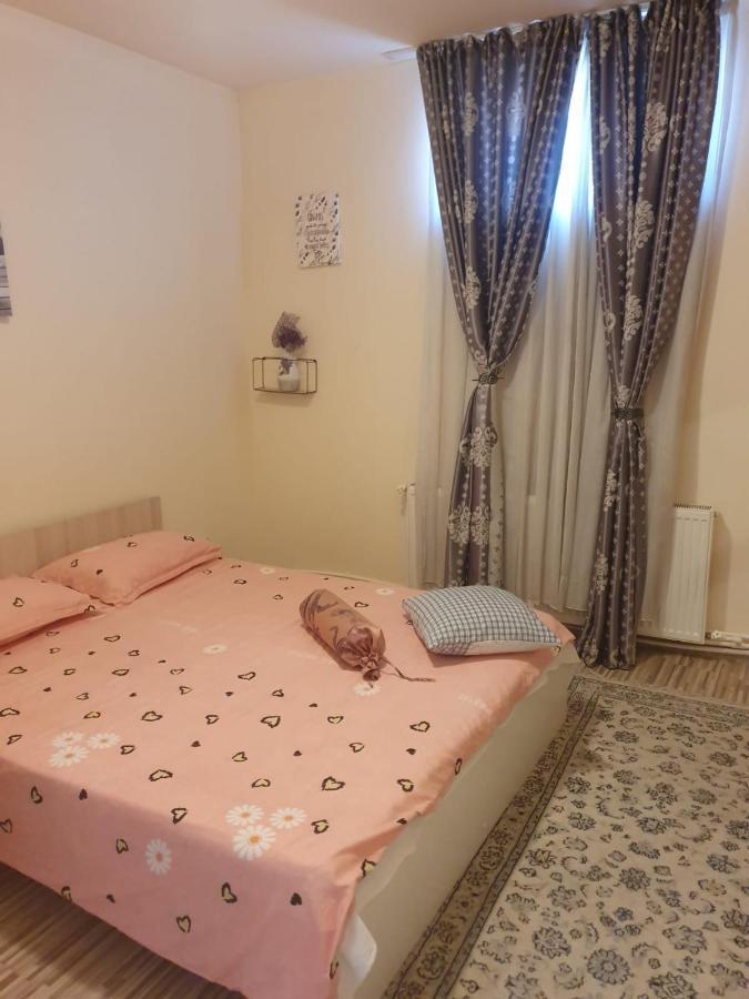 Relax Haus Hotel Vajdahunyad Kültér fotó